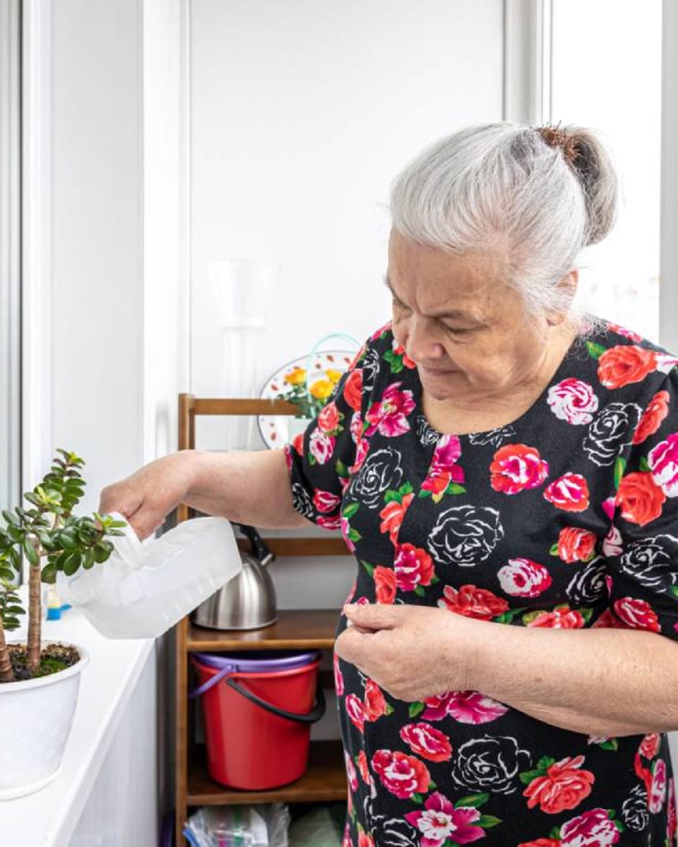 Une femme âgée arrose une plante sur le rebord de sa fenêtre